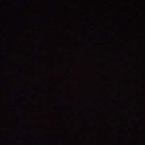 Meet your Posher, Annie